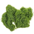 Miniatyrbillede 1 af 3: 1 Pose Kunstig Mos DIY Håndværk Falsk Mos Potteplante Faux Mos Indendørs Plantekasse Falsk Mos