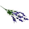 Miniatyrbillede 1 af 5: 1 stk. Kunstig Lavendel Blomst Have DIY Fest Hjem Bryllup Håndværk Borddekoration Dark Purple