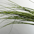 Miniatyrbild 1 av 5: Konstgjorda videkvistar Heminredning Torkade kvistar Grönska Blomsterarrangemang Dragon Willow Green