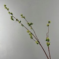 Miniatyrbild 1 av 5: Lång Gren Röd Böna Frukt Simulation Kvistar Konstgjorda Blomstjälkar Blomsterarrangemang Fotografi Rekvisita Long branch adzuki bean fruit 130cm