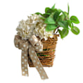 Miniatyrbillede 1 af 5: Kunstig Hortensia Rattan Blomsterkurv med Prikket Sløjfe Indendørs Udendørs Vindue Hoveddør Vægophæng Krans Guirlande Sommer Efterår Forår Dekoration