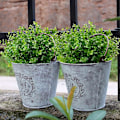 Miniatyrbillede 2 af 5: Kunstige Blomster, Falske UV-resistente Buksbom Buske Faux Plastik Grønne Planter Green 8