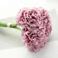 Miniatyrbillede 4 af 5: 5 stk. Kunstig Blomst Levende Multifunktionel Dekorativ Silkeklud Pæonblomst til Fødselsdag White