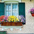Miniatyrbilde 3 av 5: 8 Bunter Kunstige Fake Blomster UV-bestandige Busker Planter, Falsk Plast Grønt Mix Colors 8