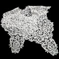 Miniatyrbilde 1 av 5: Dame falsk krage Avtakbar halv Allsidig Mote Elegant White