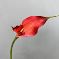 Miniatyrbillede 6 af 6: High-End Kunstig Calla Lily Dobbelt Kronblad Bryllupsbuket Hotelindretning Double petal horseshoe deep orange
