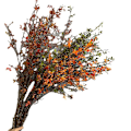 Pikkukuva 5 / 5: Keinotekoiset syksyn oksat, tekolehdet, villit oksat, metsätyylinen kukka Dead branches autumn leaves red