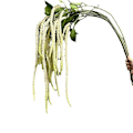 Pikkukuva 5 / 5: Simuloitu Riisi Häät Rakkaus Kyyneleet Pehmeä Silkki Riippuvat Kattokukat Kodin Sisustus Amaranthus caudatus pure white