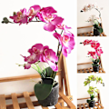 Miniatyrbillede 2 af 5: Kunstig Phalaenopsis Blomst Falsk Plante Bonsai Hjemmekontor Butik Cafe Indretning Green