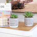 Miniatyrbillede 4 af 5: Kunstige sukkulenter planter 3 pak mini falske planter badeværelse indretning æstetisk til stue soveværelse æstetisk hjem køkken indretning