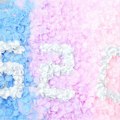 Miniatyrbilde 3 av 5: 1200 stk/12 poser Attraktive Kunstige Roseblader Bred Anvendelse Ikke-vevd Stoff Realistiske DIY Falske Blomsterblader til Bryllup Light Blue