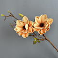Pikkukuva 1 / 6: Johdoton pölynimurin vaihtosuodatin Tineco Pure One S15 -malliin
