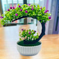 Miniatyrbild 3 av 5: Falsk Bonsai Romantisk Ingen Vattning Plast Vacker Konstgjord Blomma Bonsai med Kruka Trädgårdstillbehör Red