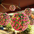 Miniatyrbillede 2 af 3: Solar Hængende Planter Lampe Falsk LED Belyst Blomster Topiary Kugle til Hjemmehave Bryllup