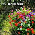 Miniatyrbillede 3 af 5: 21 Bundter Kunstige Planter UV-Resistente Kunstige Buske Plastik Kunstige Blomster Falske Planter 7 Farver