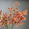 Miniatyrbillede 2 af 6: 3D-printet edderkoppeorkidé-simuleringsblomst til hjem, hotel, bryllupsdekoration yellow