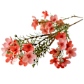 Miniatyrbilde 1 av 5: 1 stk. Kunstig Blomst Estetisk Høstdekorasjon DIY Australsk Farget Plommeblomst til Soverom Red