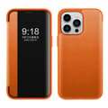 Etui til iPhone 16 Pro Danxia Orange Læder Flip