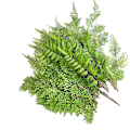Pikkukuva 5 / 5: Simuloitu vihreä kasvin lehti pehmeäkosketus saniaisen lehdet kukka-asetelmiin 33 Asparagus fern