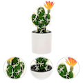 Miniatyrbillede 2 af 3: Falsk Kaktus Bonsai-plante Stue Falsk Blomst Kunstig plante Plastik Kaktus