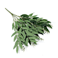 Miniatyrbillede 1 af 10: 1/3 stk. Kunstig Pileblad Rattan 5 Grene Skovplanter Blomsterarrangement DIY Dekoration Krans Green 3pcs