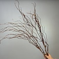 Miniatyrbild 1 av 6: Konstgjorda molndrakevidegrenar för heminredning, bröllopsblomsterarrangemang coffee