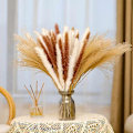 Miniatyrbilde 2 av 5: 65 stk. Naturlig Tørket Pampasgress, pampas for Boho-arrangementer Bryllup Hjemmeinnredning, blomsterarrangement