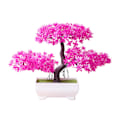 Miniatyrbilde 1 av 5: Planteform Lett Levende Utsøkt Mini Potteplante for Butikk Pink