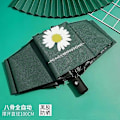 Miniatyrbillede 1 af 5: Moderigtig Bærbar Foldbar Automatisk Paraply Anti UV Regn Sol Paraply Vindtæt Kvinder Mænd Børn Parasol Paraply automatic green 2
