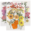 Miniatyrbillede 4 af 5: 55 stk. Tørrede Blomster DIY Pressede Blomster Tørrede Planter Håndværk Tørrede Blomster Til Scrapbooking Smykkefremstilling