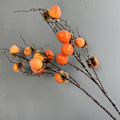 Pikkukuva 3 / 5: Tekopersimonimarjoja himmeällä pinnalla, tekokukkia kodin sisustukseen Yellow flat persimmon branch