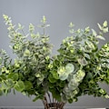 Pikkukuva 4 / 6: 3D-tulostettu 16-lehtinen eukalyptusrahapuu kodin sisustukseen Bundle of 16 money leaves dark green
