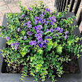 Miniatyrbillede 3 af 5: Kunstige Blomster, Falske UV-resistente Buksbom Buske Faux Plastik Grønne Planter Green 24