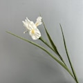 Miniatyrbilde 6 av 6: Erstatningssett for L30 Ultra/X30/X30 Ultra/X30 Pro Ultra/X30 Robotstøvsuger