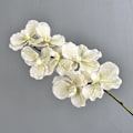Pikkukuva 1 / 6: Hääkosketeltava orkidea kodin sisustus valokuvaus rekvisiitta tekokukka 7-head Vanda blue white E17