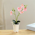 Miniatyrbillede 4 af 5: Kunstig Bonsai Ingen Visnen Levende Dobbelt Grenet Pottet Falsk Silke Orkide Blomst Bryllupsdekoration Light pink
