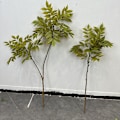 Miniatyrbillede 3 af 6: Kunstig Nandina Boligindretning Blomsterdisplay Kunstigt Grønt Malet Træblade Lacquered wood two forks autumn red