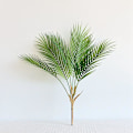 Miniatyrbillede 8 af 8: 1 stk. Kunstigt palmebladstræ, ægte berøringsplastplanter, bolighavedekorationer, tropisk grøn plante Matches the image L