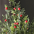 Miniatyrbilde 3 av 5: Kunstig Mini Juletre Miniatyr Furu Juletre Skrivebord Juletre Jutebase (30cm/45cm)