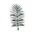 Miniatyrbillede 1 af 5: Simulerede kokosnøddeblade frugttræer palme botaniske haver spredte blade museum potteplanter kokospalmer falske solsikke blade Kunstig Flora Light color 1.4m