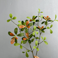 Miniatyrbilde 4 av 6: Kunstige blader Sjølandskap Vårblomst Falske planter for hjemme- og hotelldekor Island Spring Flower Coffee Green