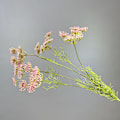 Miniatyrbild 1 av 5: Konstgjorda spetsblommor Heminredning Falska blommor Bröllopsrekvisita Spets Vattenbambu pink