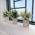 Miniatyrbillede 5 af 5: Kunstige planter med blomsterpotter, små blomsterpotter, kontor desktop dekoration, falske planter, hjemmekontor interiør dekoration (DS541)
