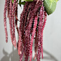 Pikkukuva 1 / 6: Simuloitu Riisi Häät Rakkaus Kyyneleet Pehmeä Silkki Riippuvat Kattokukat Kodin Sisustus Amaranthus caudatus purple