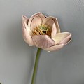 Miniatyrbild 1 av 6: För Dammsugare V6 V7 V8 V10 V11 Handhållen Dammsugare S Ribn