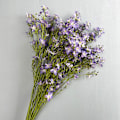 Miniatyrbillede 3 af 6: Kunstige blomster Delphinium Bryllup Hjem Indretning Fake Blomster 2-Gren Larkspur Hyacint pink