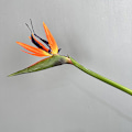 Pikkukuva 1 / 6: Pehmeäkosketuksinen paratiisilinnun kukka, tekokukat, Strelitzia, kodin sisustus, korkea jäljitelmä, yksittäinen varsi Medium Bird of Paradise Orange