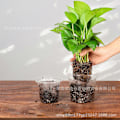 Miniatyrbillede 3 af 3: 20 stk. Praktisk Planteskolepotte i Plastik Fortykket Planteplanteskolepotte Blomsteravlskontainer