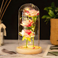 Miniatyrbilde 1 av 2: Skjønnheten og Udyret Rose Lampe i Glasskuppel, LED Evig Galakse Rose Kunstig Blomst