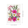 Miniatyrbilde 2 av 5: 55 stk. Tørkede Blomster DIY Pressede Blomster Tørkede Planter Håndverk Tørkede Blomster For Scrapbooking Smykkefremstilling